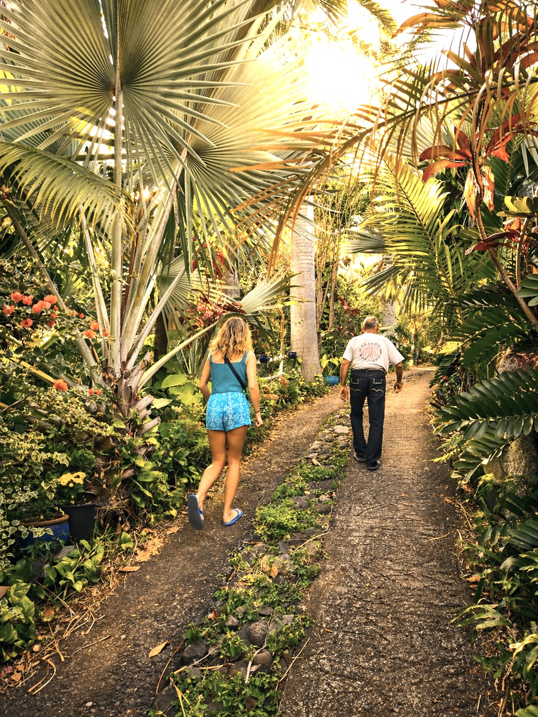Le jardin tropical Jungle à Pat' à La Rivière Saint-Louis