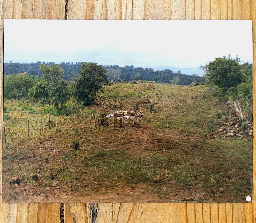 Le terrain en 1990, avant les plantations — que des hautes herbes